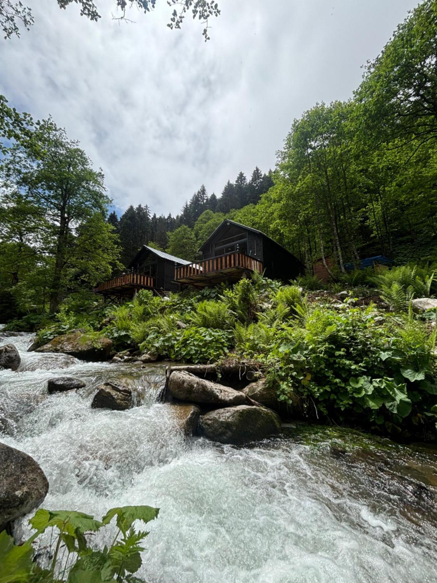 Chalet Kuzey Ayder Yaylasi